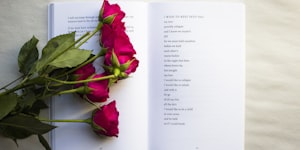 Hvilket berømt dikt vil snakke til sjelen din?
