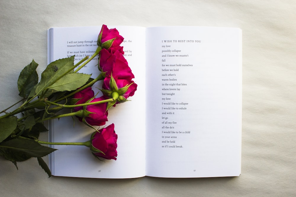 red roses on book