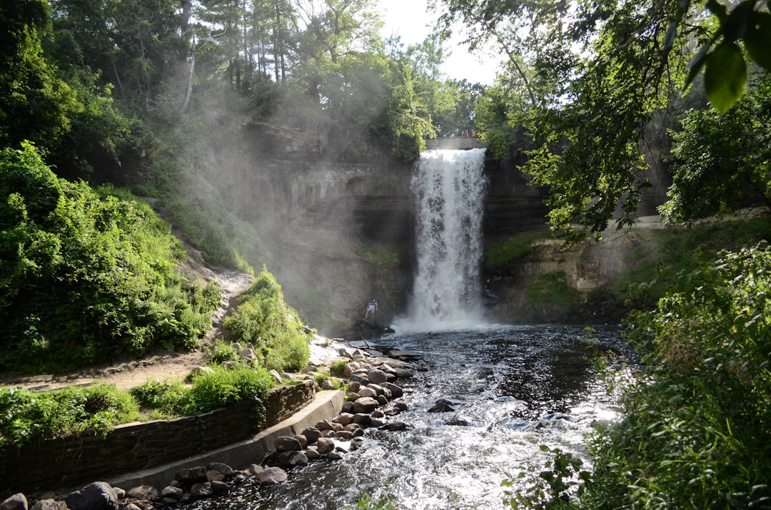 landscape photography of waterfalls near plants