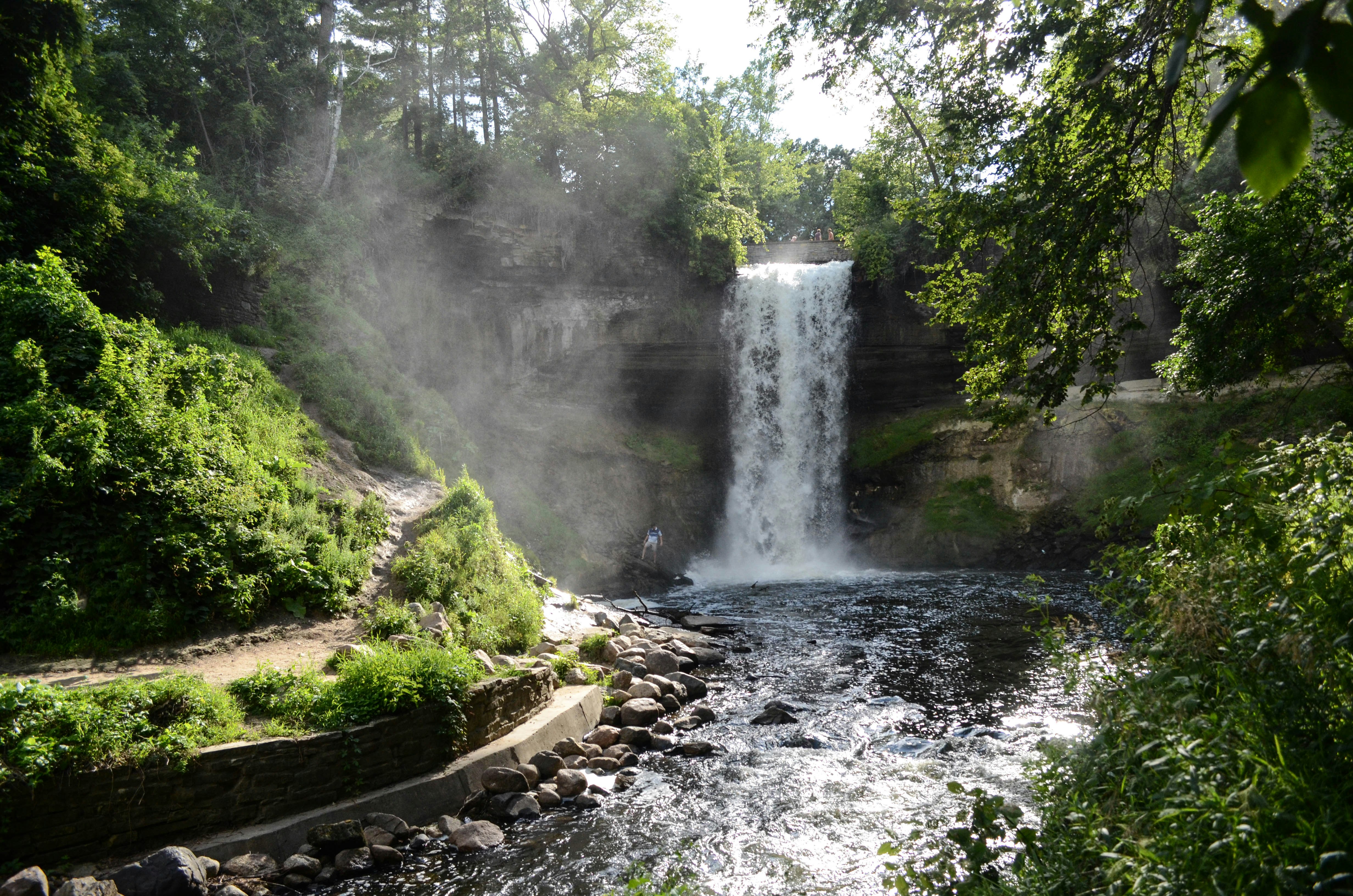 landscape photography of waterfalls near plants