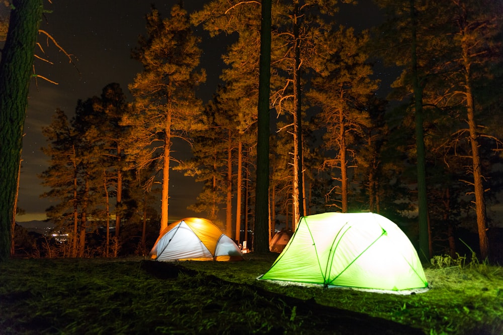 green and orange tent in the forest