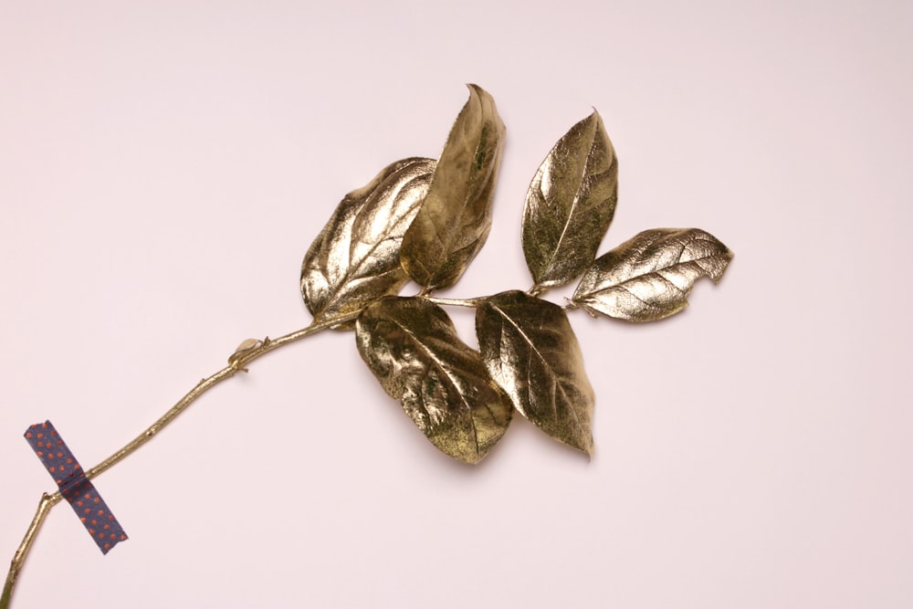 gold leaves