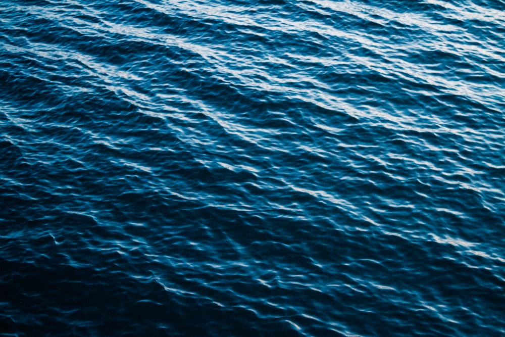 青い水の波