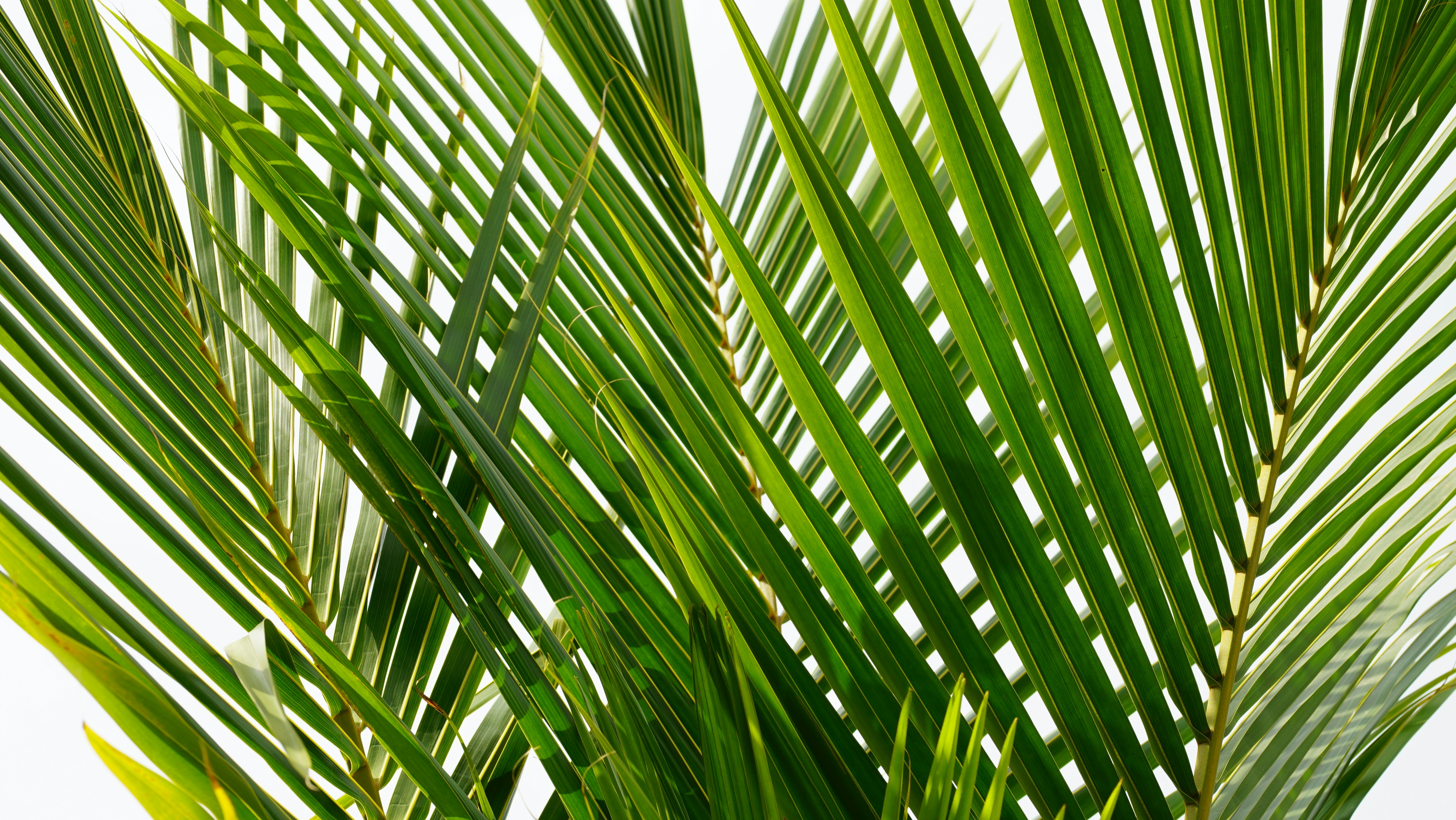 Photo by proskurovskiy