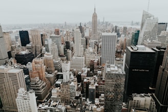 aerial photo of city buildings