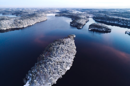 forest covered with snow viewing lake in Delsjön Sweden