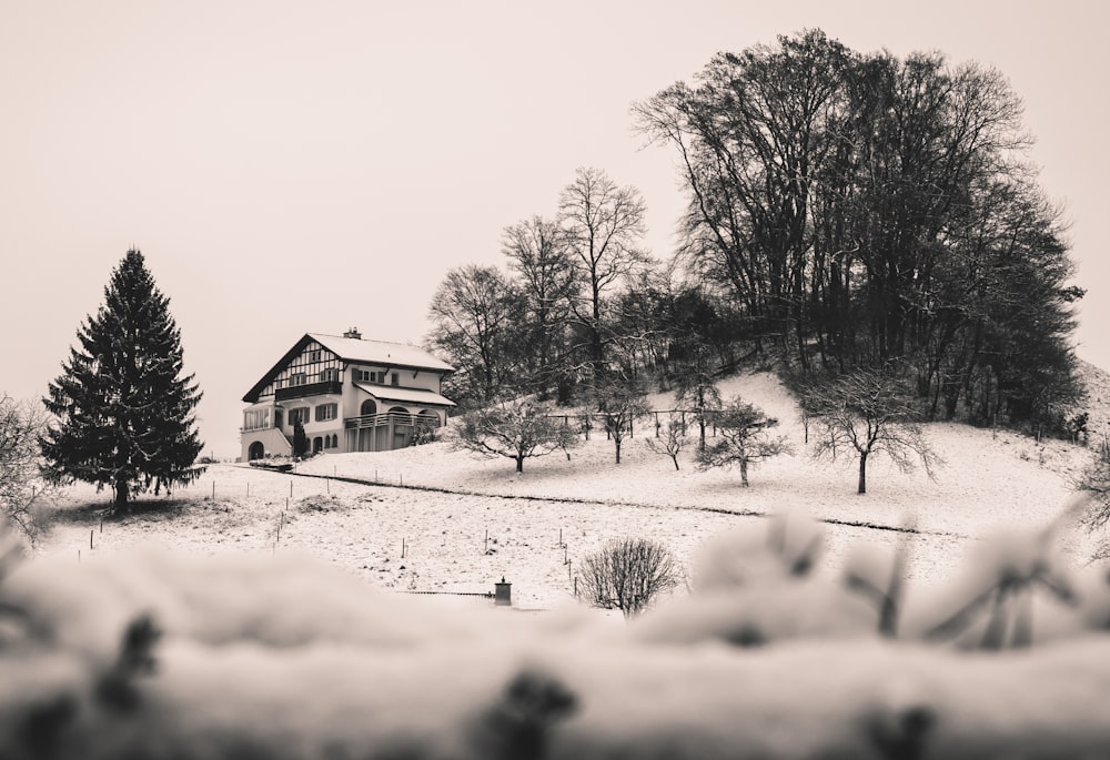 grayscale photo of cabin near tree on hill