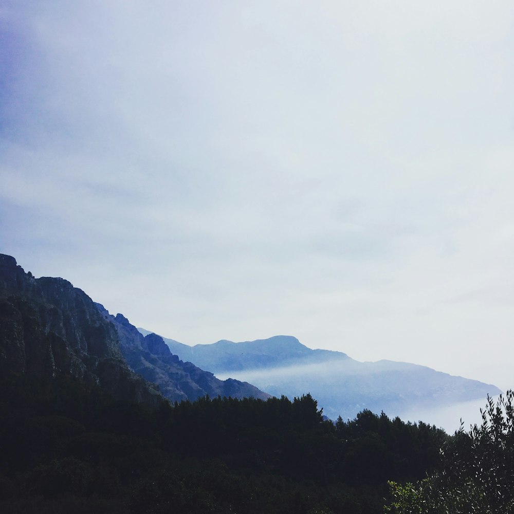 trees and mountains under white sky