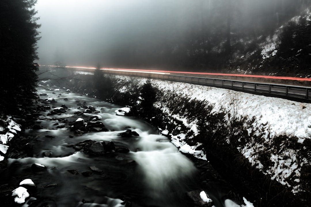 road beside river covered with snow and fogs surrounded by trees