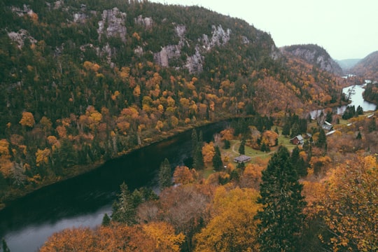 aerial photography of river near trees in Agawa Canyon Park Canada