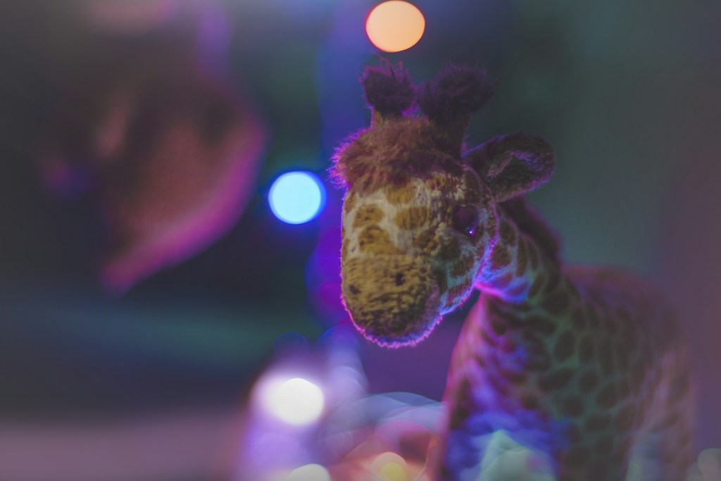 Navy Giraffe Hoodie