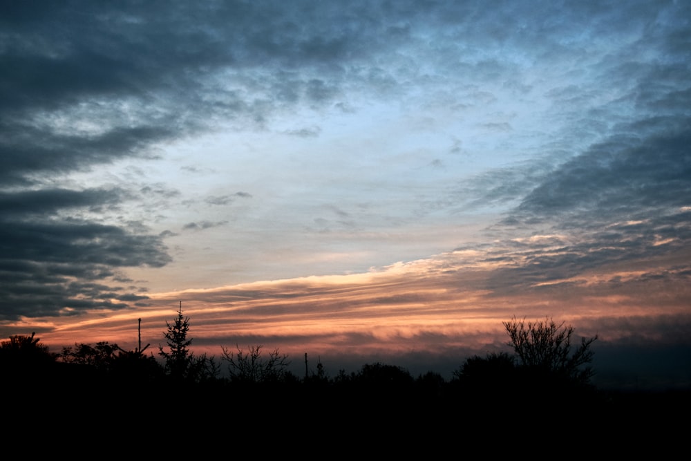 silhouette photo of trees under cloudy sky during golden hour