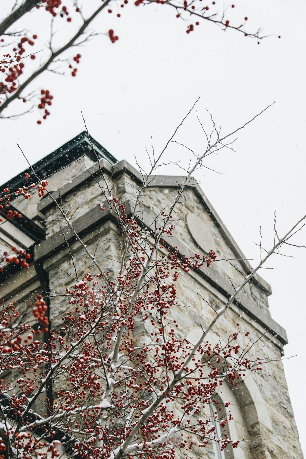 lowangle photo of gray concrete building