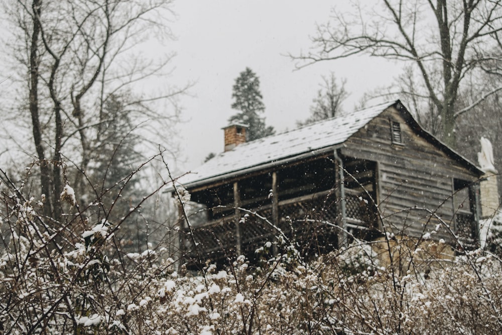 gray house near trees during daytime