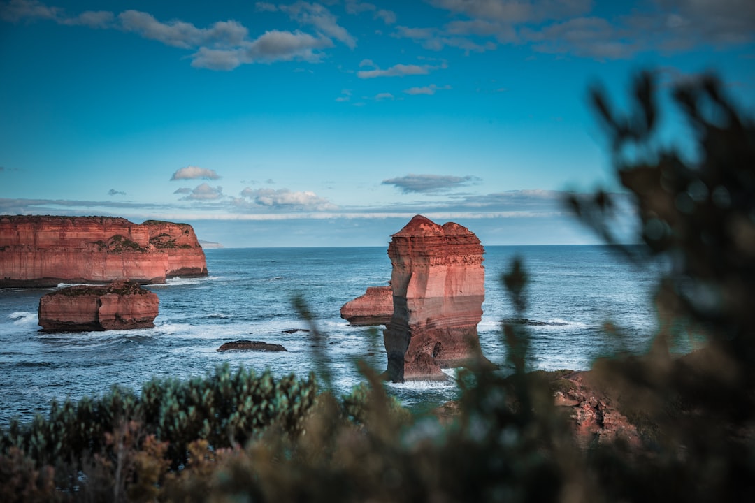 rock formations on shore