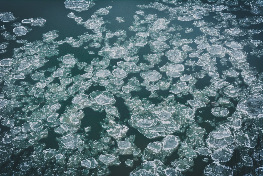 teal body of water with white flakes