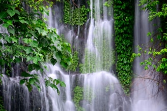 The cascading Jonha waterfall framed by vibrant green trees, inviting guests to unwind.