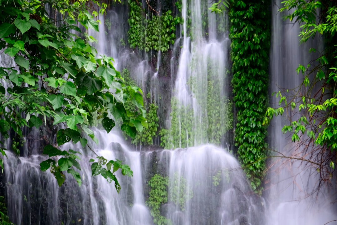 photo of Banyuwangi Regency Waterfall near Tabuhan Island