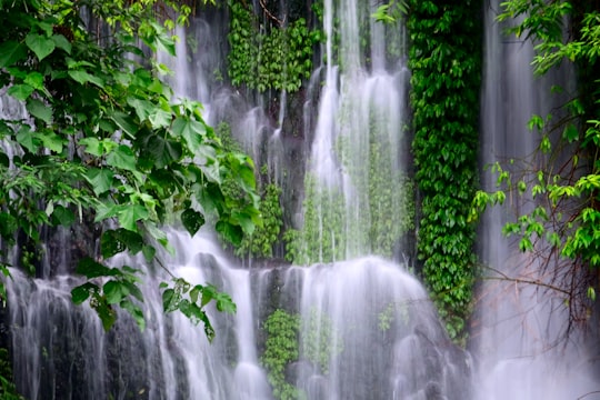 waterfall surrounded by green plants taken at daytime in Banyuwangi Regency Indonesia