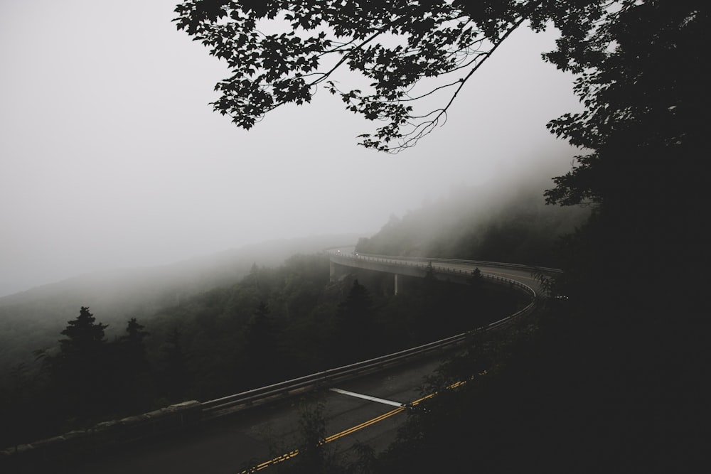 Foto en escala de grises de la carretera