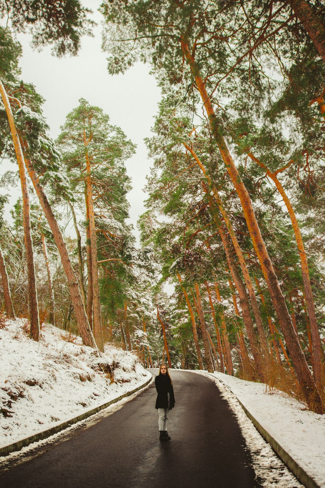 woman on road between trees