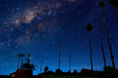 A starry night sky with the Milky Way galaxy is visible, stretching across the horizon. Tall trees silhouetted against the sky stand in the foreground, along with a small, dark building, adding to the serene and awe-inspiring atmosphere.