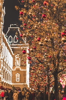 closeup photo of tree with baubles