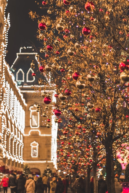 closeup photo of tree with baubles