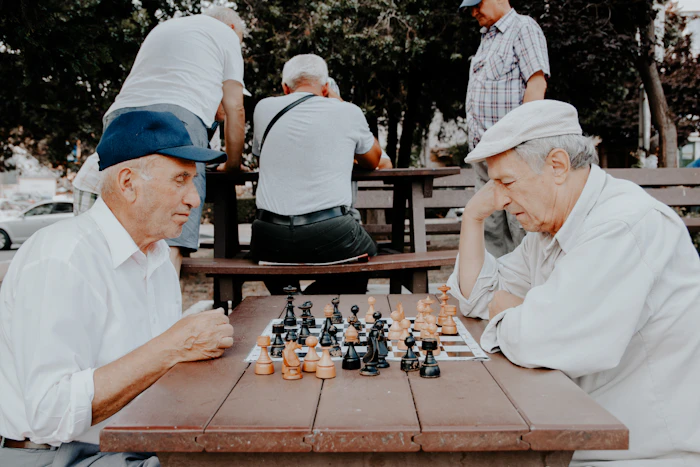 Two friends enjoying a game of chess together