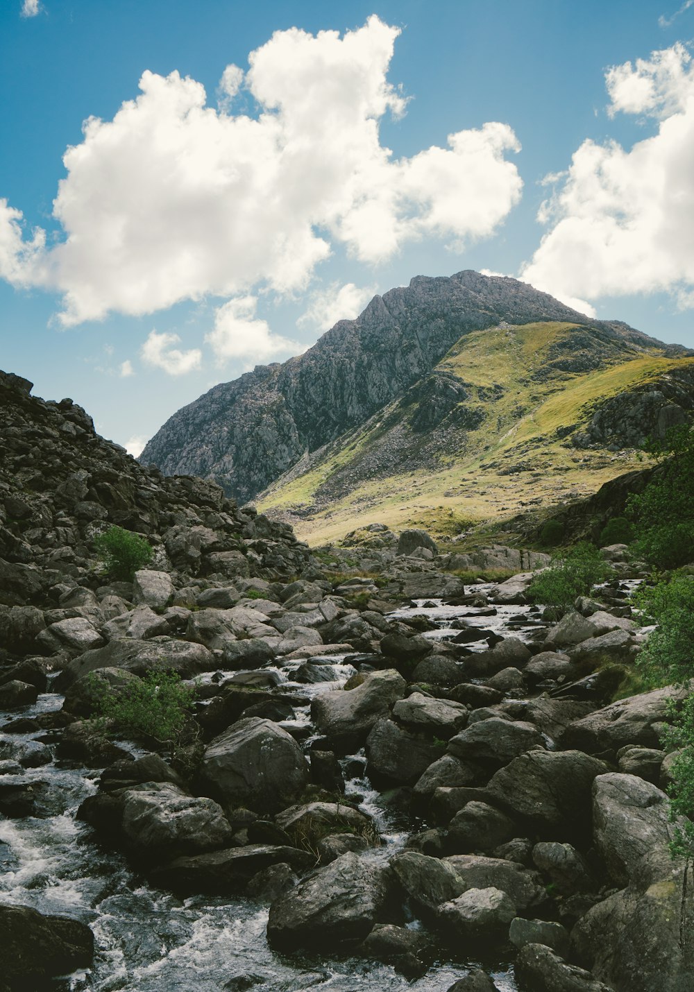 Fiume attraverso le Montagne Rocciose