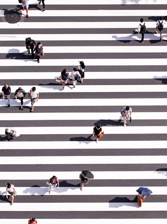 aerial view photography of group of people walking on gray and white pedestrian lane