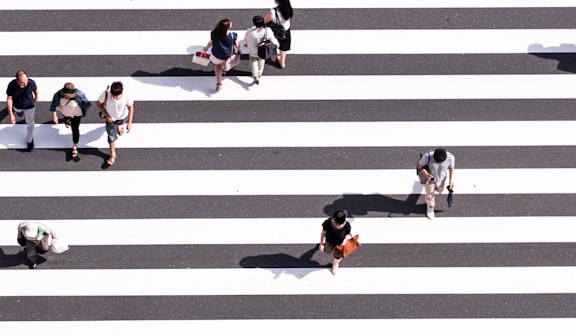 aerial view photography of group of people walking on gray and white pedestrian lane