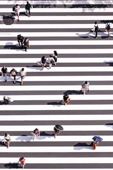 aerial view photography of group of people walking on gray and white pedestrian lane