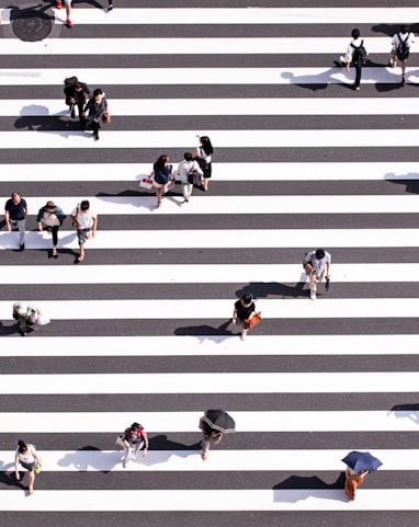 aerial view photography of group of people walking on gray and white pedestrian lane