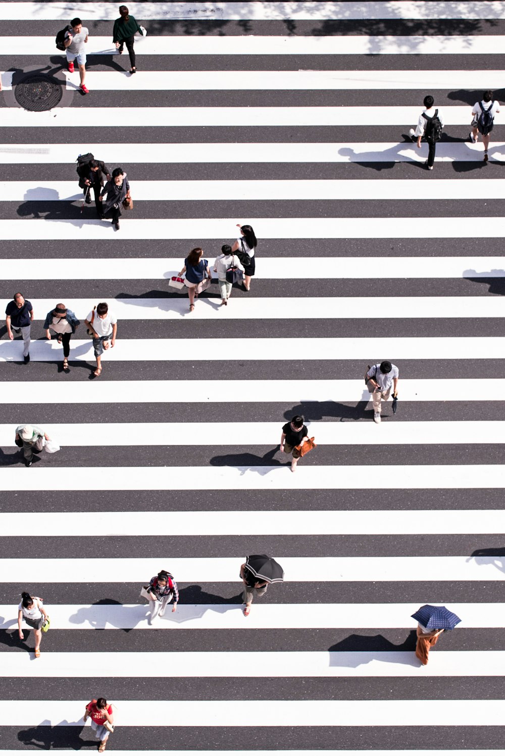 aerial view photography of group of people walking on gray and white pedestrian lane