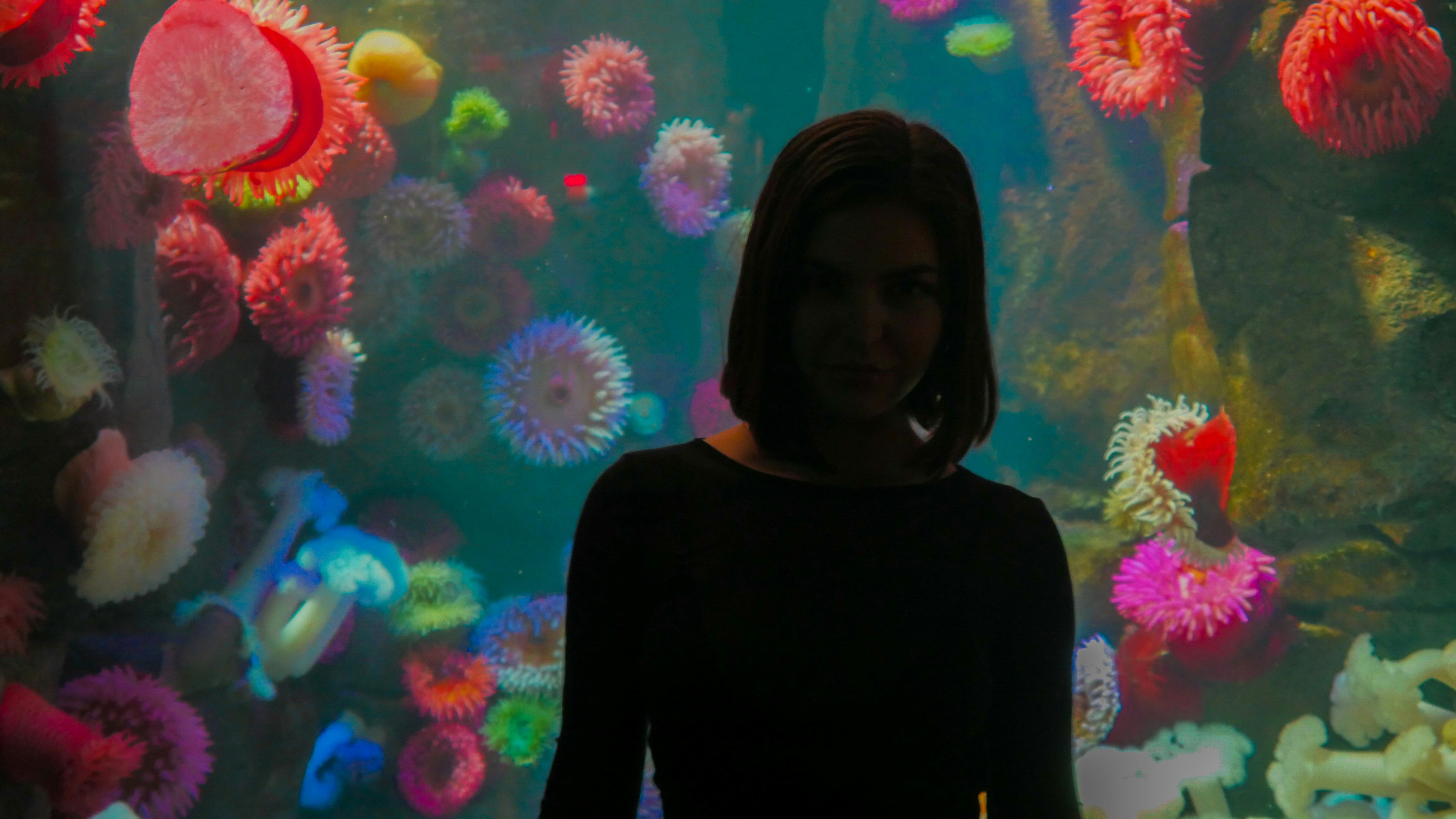 斗破苍穹特别篇3三年之约免费观看，斗破苍穹特别篇3三年之约免费观看全集