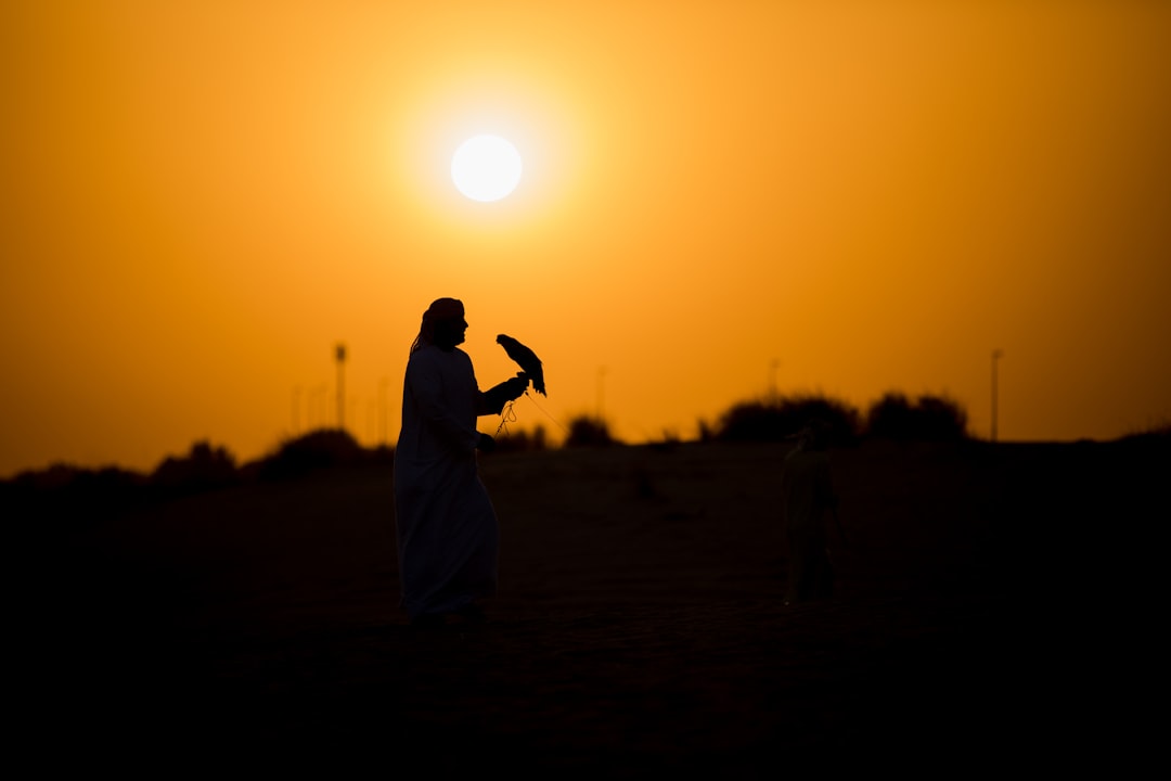 silhouette of person carrying bird during sunset