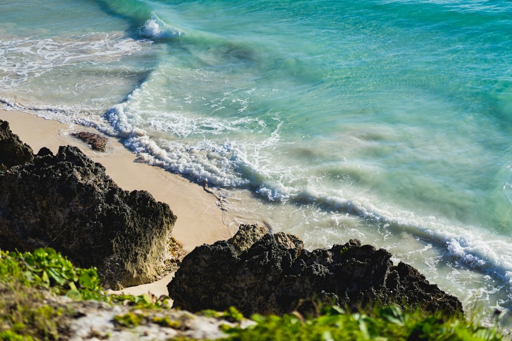 Photographie de vue aérienne du bord de mer