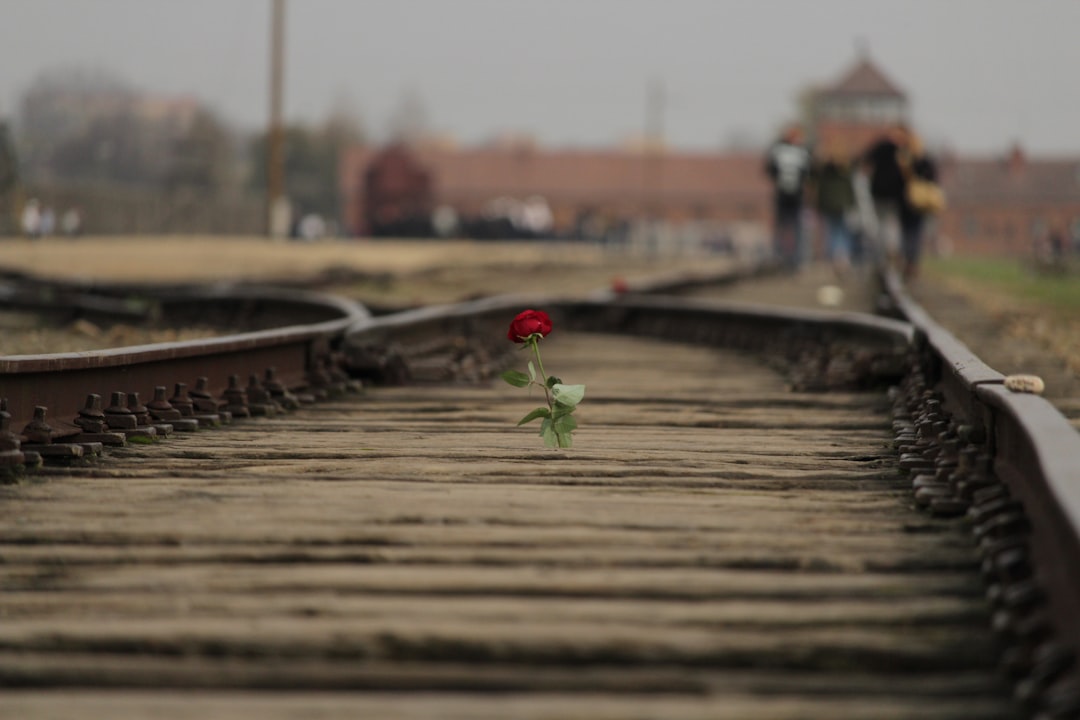 Bridge photo spot Memorial and Museum Auschwitz-Birkenau Poland