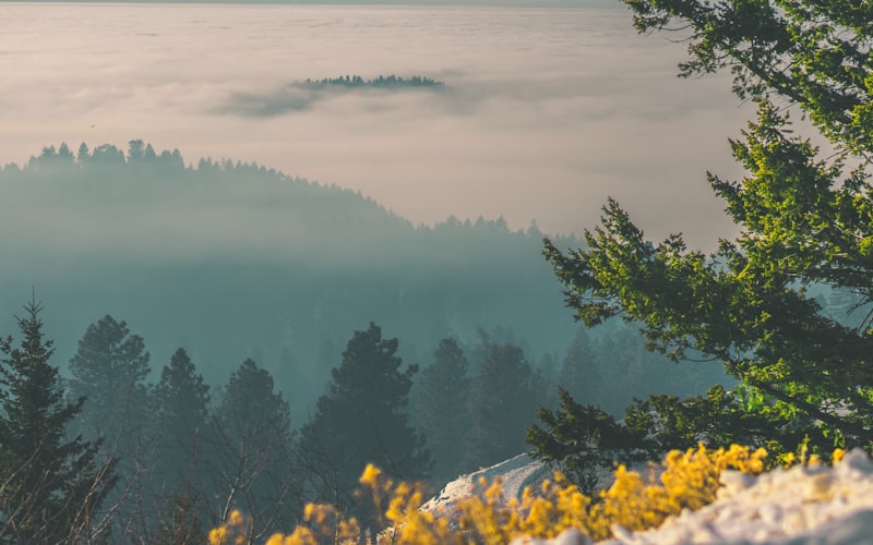 Boise skyline and foothills