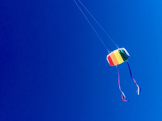 multicolored kite under blue sky at daytime in Callantsoog Netherlands