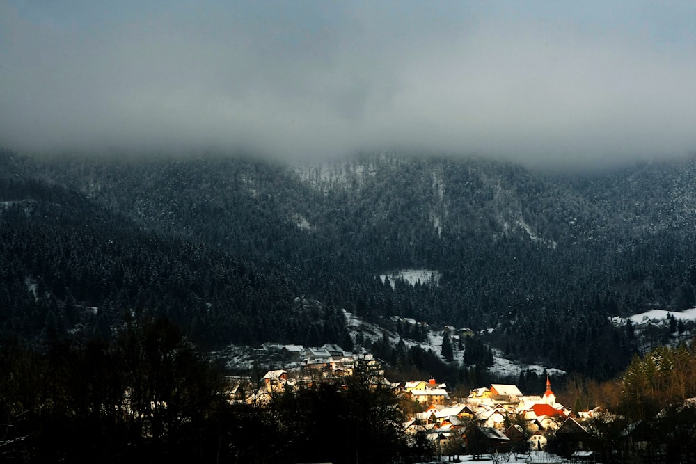 lighted village near forest