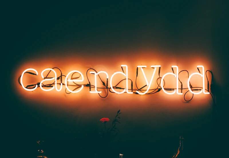 Best Vegetarian and Vegan Places in Cardiff Worth Visiting