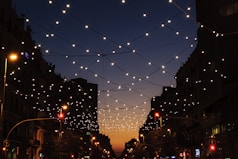 string lights during night time