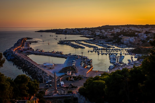 aerial photography of buildings near sea in Leuca Italy