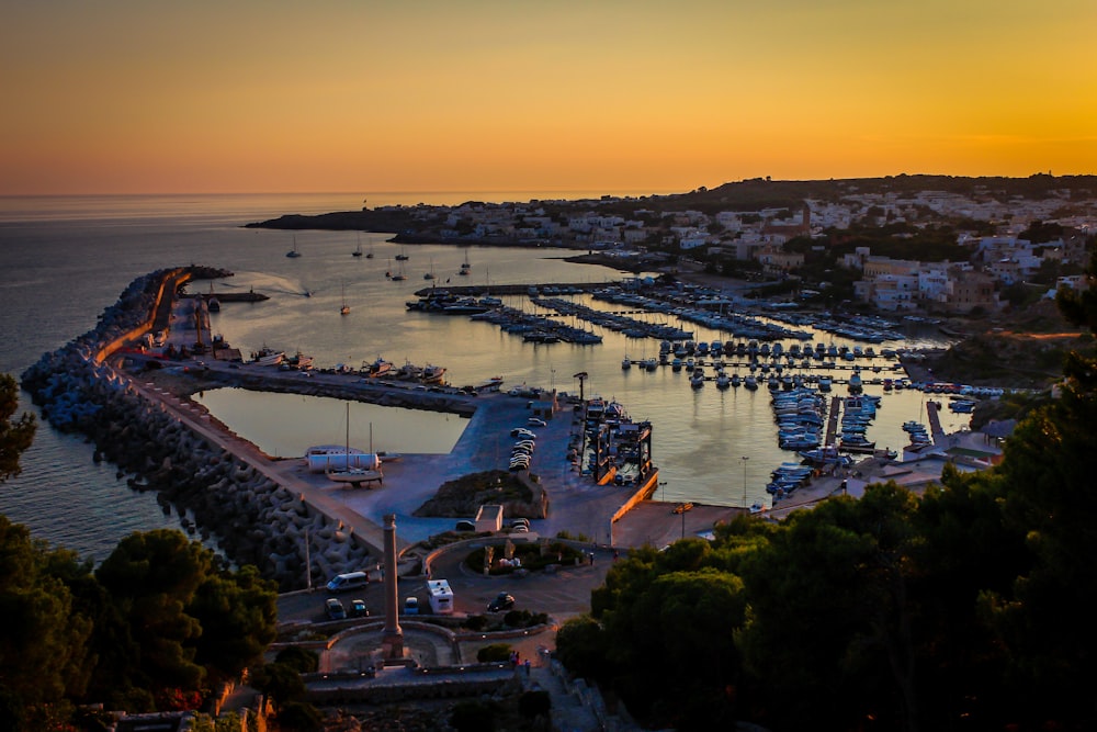 aerial photography of buildings near sea