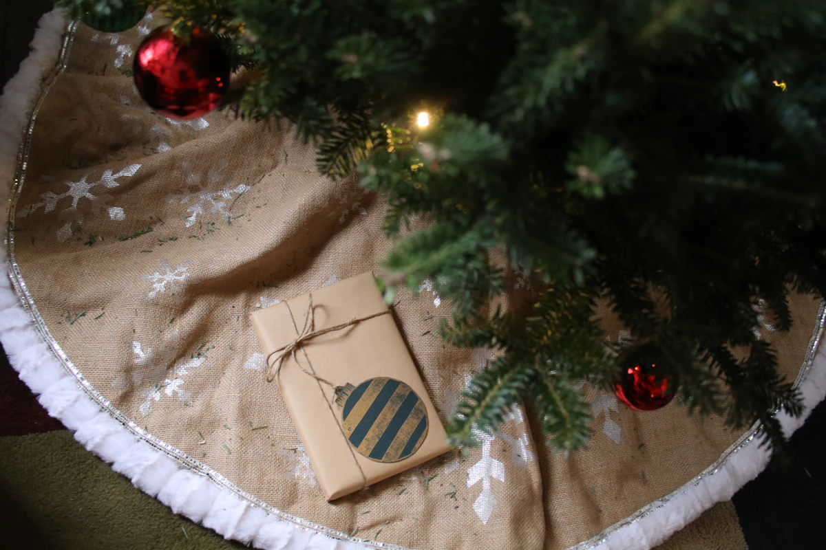 Wrapped gift resting below a decorated Christmas tree