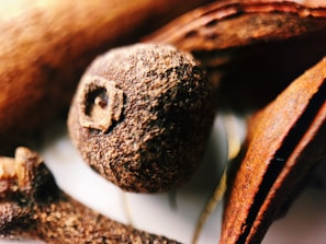 A close-up of various brown spices, including a clove with rough texture. The focus is sharp on the clove, with surrounding blurred bark-like pieces.