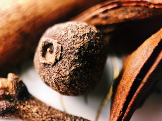 A close-up of various brown spices, including a clove with rough texture. The focus is sharp on the clove, with surrounding blurred bark-like pieces.