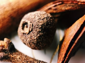 A close-up of various brown spices, including a clove with rough texture. The focus is sharp on the clove, with surrounding blurred bark-like pieces.